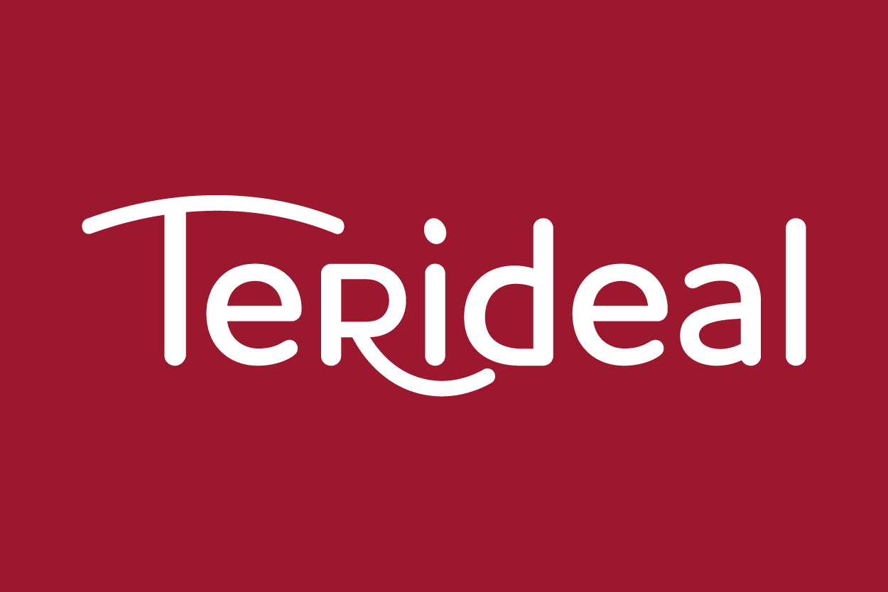 logo_teridea